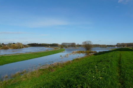 November 2013